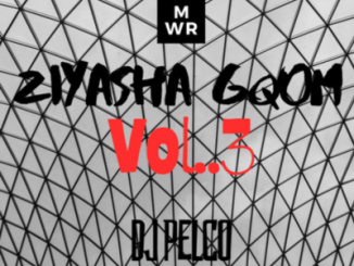 DJ Pelco – Ziyasha Gqom Vol.3 Mix