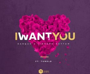 Darque & Limpopo Rhythm – I Want You Ft. Tumelo