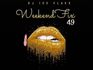 Dj Ice Flake – WeekendFix 49 2020