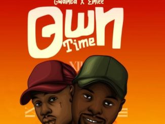 Video: Gwamba – Own Time Ft. Emtee