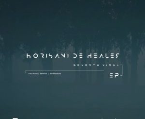 Ep: Horisani De Healer – Seventh Vynal