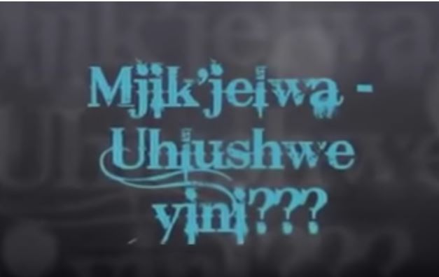 Mjikijelwa - Uhlushwe Yini? Mp3 Download