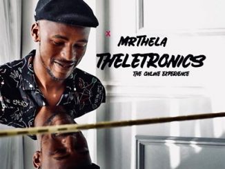 Mr Thela – Theletronics (The Online Experience)