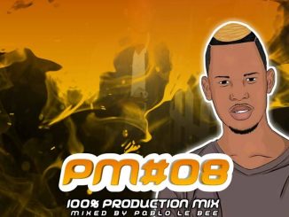 Pablo Lee Bee – Production Mix 008 (Grootman Stuff Sessions)