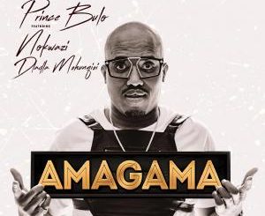 Prince Bulu – Amagama Ft. Nokwazi & Kyotic (Felo Le Tee Remix)