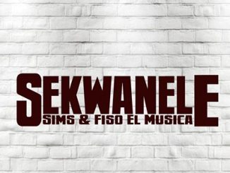 Sims & Fiso El Musica – Sekwanele