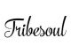 TribeSoul – New Wave (Soulful Mix)