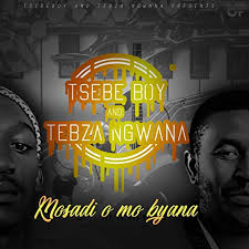 Video: Tsebe Boy & Tebza Ngwana – Mosadi O Mo Byana