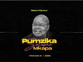 Beka Flavour – Pumzika Salama Mkapa Mp3 Download Fakaza