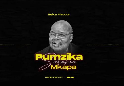 Beka Flavour – Pumzika Salama Mkapa Mp3 Download Fakaza