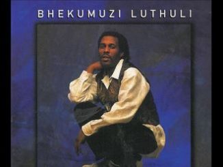 Bhekumuzi Luthuli – Wongikhonzela Enhlizweni