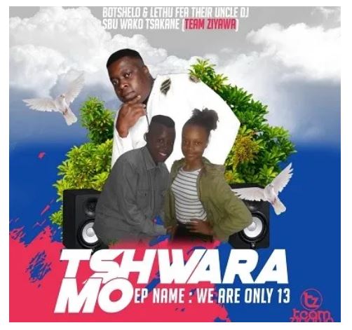 Botshelo & Lethu – Tshwara Mo Ft. DJ Sbu Wako Tsakane (Team Ziyawa)