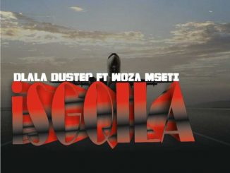 Construction ReC & Dlala Duster - Umshini Ongalali