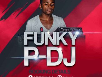 Funky-P – Musical Journey Vol.004