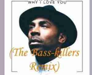 Major - Why I love you (The Bass-killers Remix)