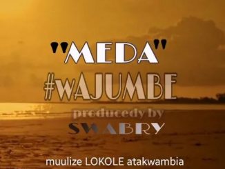 Meda - Wajumbe Mp3 Download