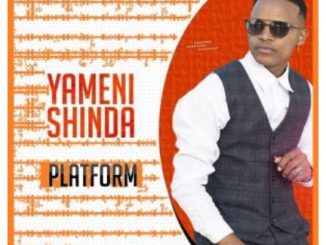 Platform – Yamenishinda