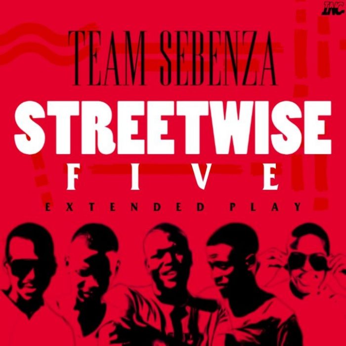 Team Sebenza – The Big Five