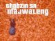 EP: Thabzin SA – Majwaleng