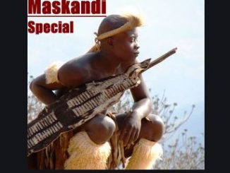 Various Artists – Maskandi Special