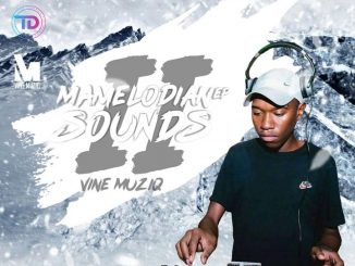 EP: Vine Muziq – Mamelodian Sounds