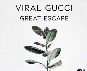 Viral Gucci – Great Escape