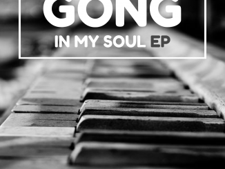 EP: DjAsteroid – Gong In My Soul