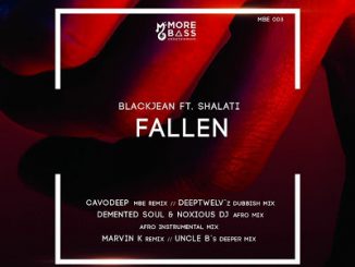 BlackJean – Fallen (Demented Soul & Noxious DJ Afro Mix) Ft. Shalati