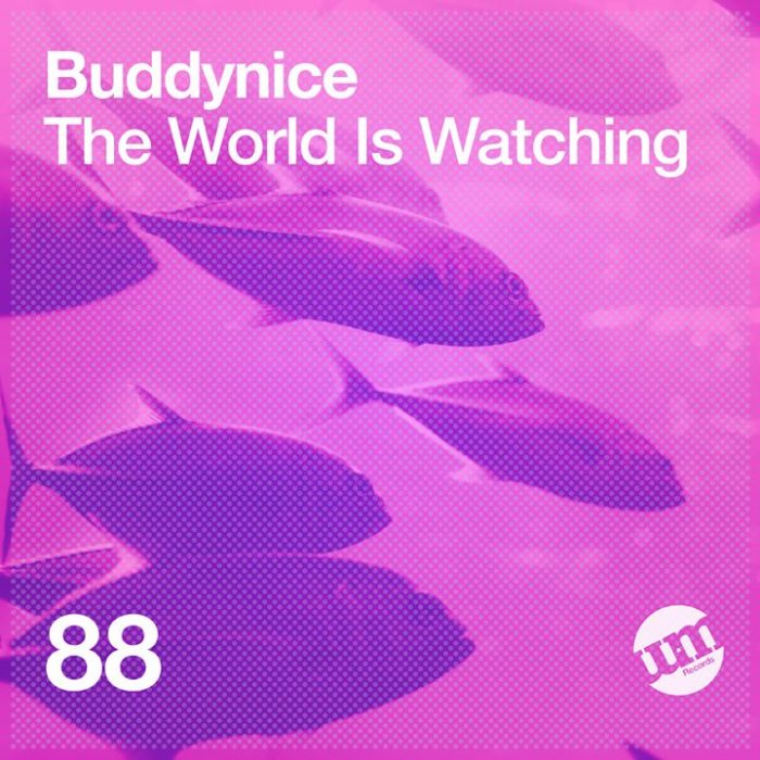 EP: Buddynice – The World Is Watching
