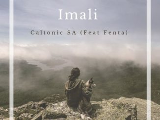 Caltonic SA – Imali Ft. Fenta