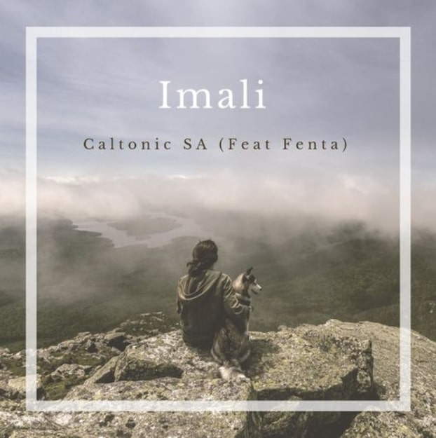 Caltonic SA – Imali Ft. Fenta