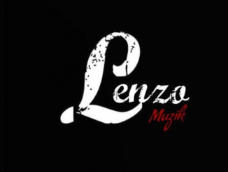 DJ Lenzo – Living My Life Ft. Hights