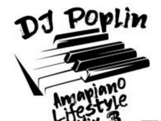 DJ Poplin - Amapiano Lifestyle Mix 3