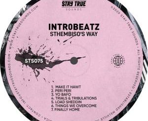 EP: Intr0beatz – Sthembiso’s Way