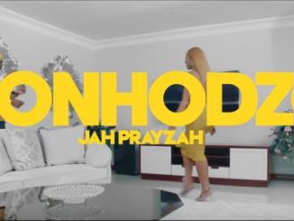 Jah Prayzah - Donhodzo