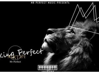 Mr Perfect – Ntombazana Mp3 Download