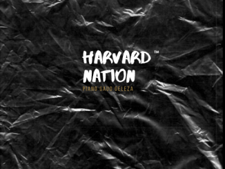 EP: P-Man – Harvard Nation (Piano Gauo Geleza)