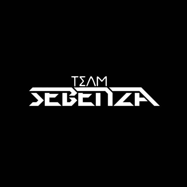 Team Sebenza – Gqom Linguist