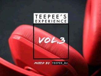 TeePee DJ – TeePees’ Experience Vol. 13