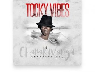 Tocky Vibes - Chamakuvangu