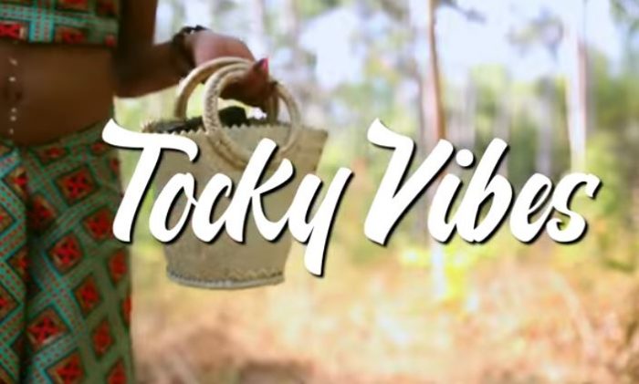 Tocky Vibes - Wadhakwa Nge Doro Download