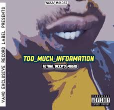 Totino Deep’D MusiQ – Too Much Information (Main Mix)