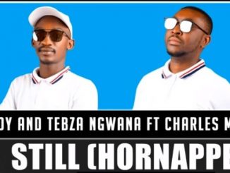 Tsebe Boy & Tebza Ngwana – Still (Hornappela) Ft. Charles Mkhulu