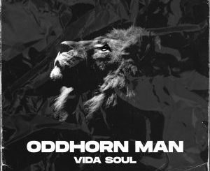 Vida Soul – Oddhorn Man