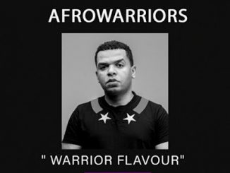 Afro Warriors – Warriors Flavour Vol.12 (Afro Tech Edition)