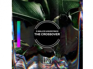 D-Malice & Buddynice – The Crossover Mp3 Download