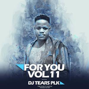 ALBUM: DJ Tears PLK – For You Vol.011