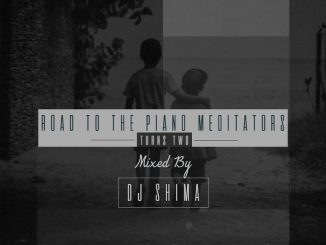 Dj Shima – The Piano Meditators Turns Two Mix