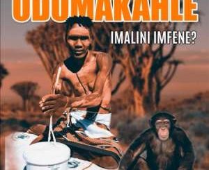 Dumakahle – Uthando Lwakudala (Instrumental)