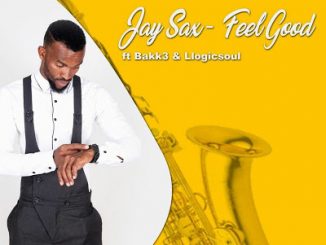 Jay Sax – Feel Good Ft. Bakk3 & Llogicsoul